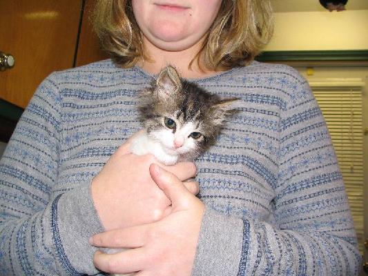 New Brunswick 2004 054.jpg